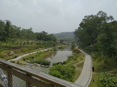 -东莞植物园