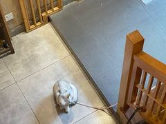 -锅蒸馍(建国中路店)