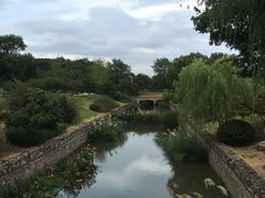 -羊山湖公园