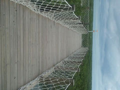 android_upload_pic-北海金海湾红树林生态旅游区