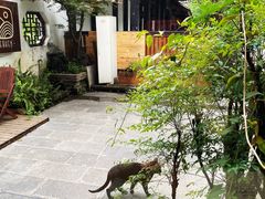-知亘茶食
