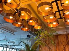 -the rug 飞毯 (朝阳公园店)