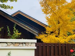 -静之湖湖畔餐厅