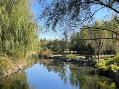 -上海滨江森林公园