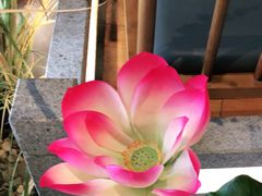 -荷塘秋月·本帮江浙菜(国权路店)