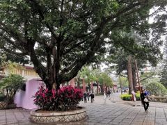 -南普陀寺