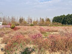 -嘉北郊野公园