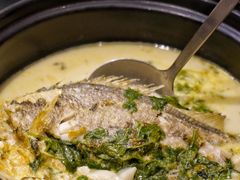 -望乡楼上海菜(日月光店)