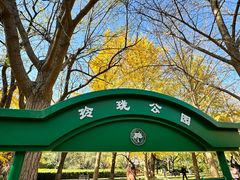 -玲珑塔公园