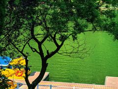 -秦岭终南山世界地质公园翠华山景区