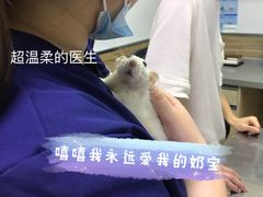 -爱侣宠医·鹦鹉专科·小型哺乳类·异宠专科(灵石路店)