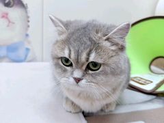 -美联众合动物医院·24h转诊中心