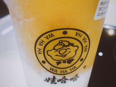 -娃哈哈奶茶(富阳鹿山时代店)