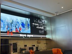 -Hopo Snow 城市滑雪空间(来福士广场购物中心店)