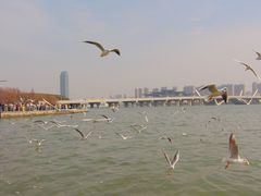 -蠡湖大桥公园