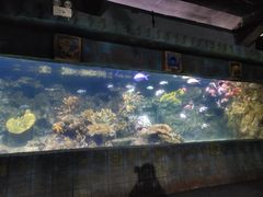 -南昌海洋公园
