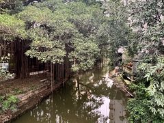 -小洲村