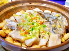 砂锅焗鲈鱼-点都德·毕德寮