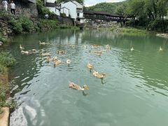 -鹿亭中村