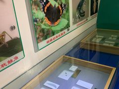 -上海昆虫博物馆