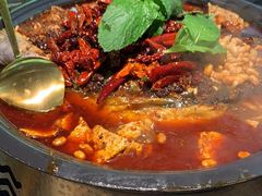 -探鱼·鲜青椒爽麻烤鱼(苏宁广场店)