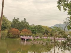 -田野绿世界