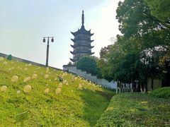 -观潮胜地公园