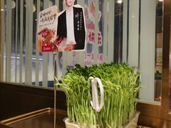 -海底捞火锅(长宁路龙之梦店)