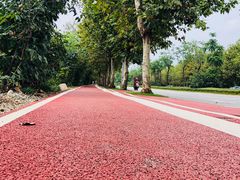 -三圣花乡旅游区