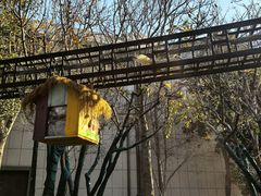 -青岛鑫江温德姆酒店