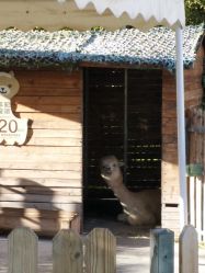 -萌宠亲子动物乐园(槐房万达店)