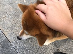 -Be Lived Cafe比例咖啡(摩天轮店)