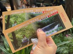 -大奇山国家森林公园
