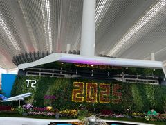 -广州白云国际机场-T2航站楼