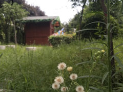 -老磨油饼(高陵店)