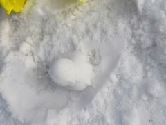 -绿野森林乐园冰雪季