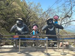-栾川竹海野生动物园