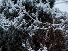 -北运河水利风景区