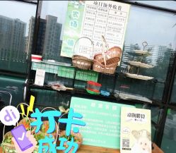 -可可天空农场(中大店)