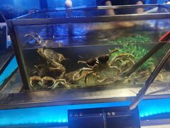 -V-ONE西雅图海鲜自助餐厅(仓山万达广场店)