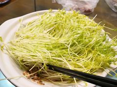 豌豆芽-李太婆鱼汤馆(古城路店)