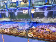 -晶渔坊·海鲜私房菜(东夷小镇店)