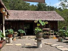 -沂蒙山旅游区云蒙景区(蒙山国家森林公园)