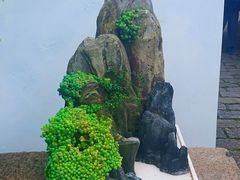 -上海醉白池公园