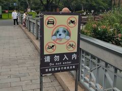 -桂湖森林公园