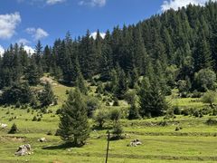 -芦芽山旅游度假区