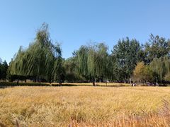 -北坞公园