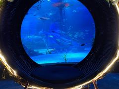 -沈阳海洋探索中心