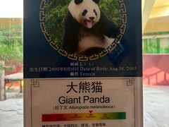 -杭州野生动物世界