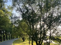 -野鸭湖国家湿地公园